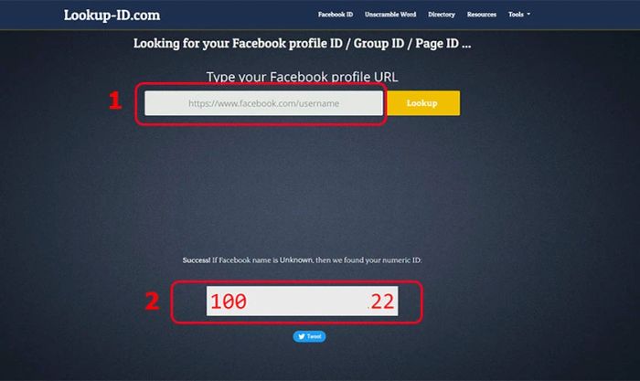Đăng nhập bằng ID tài khoản hoặc Email nếu Facebook bị từ chối truy cập