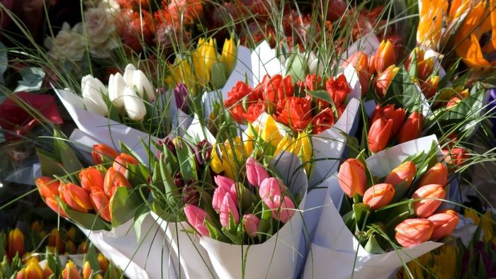 Hình nền hoa tuyệt đẹp nhất