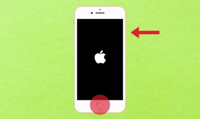 Cách khởi động lại để khắc phục lỗi không nhận được thư đến trong Gmail trên iPhone