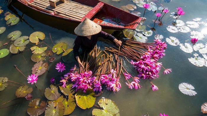 Tải về những hình ảnh nét đẹp văn hóa đặc sắc