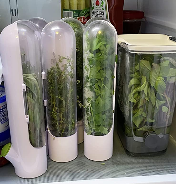 Three herb-filled pods are stored in the fridge, each containing a different variety of herbs.