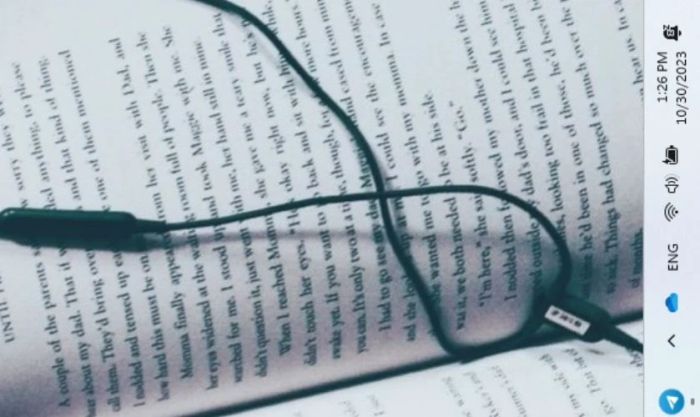 Màn hình máy tính bị đảo ngược có gây ảnh hưởng gì không?