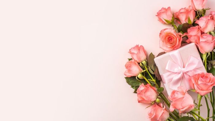 Ảnh hoa đẹp, tươi mới và cuốn hút