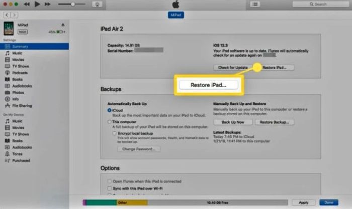 Restore qua iTunes khi gặp lỗi màn hình iPad Air 2 bị nhòe màu