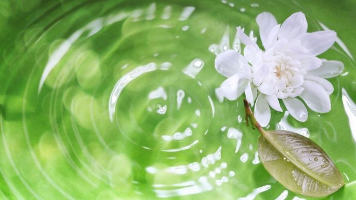 Nền hình ảnh chill, đẹp mắt và thư giãn