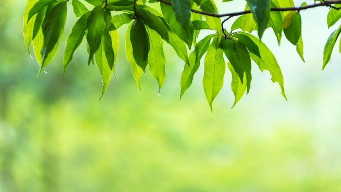 Những bức ảnh đẹp về thiên nhiên