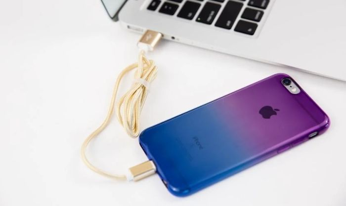 Đưa iPhone vào chế độ DFU bằng nút home cảm ứng để khắc phục lỗi camera iPhone bị đen
