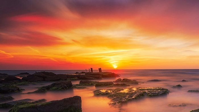 Hình nền ảnh thiên nhiên đẹp, tươi mới và ấn tượng