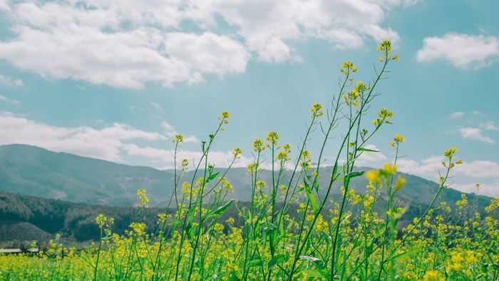 Tải ngay những bức ảnh thiên nhiên tuyệt đẹp