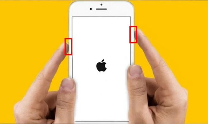 Đưa iPhone vào chế độ DFU để sửa lỗi Reset Counter hiệu quả.