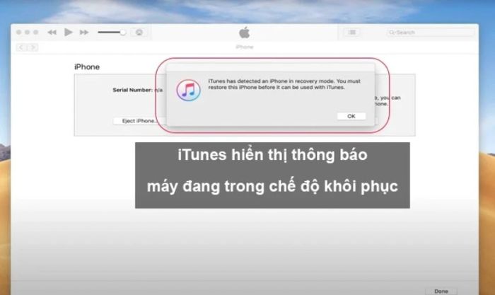 Hướng dẫn đưa iPhone 13 Pro Max về chế độ DFU khi màn hình bị trắng