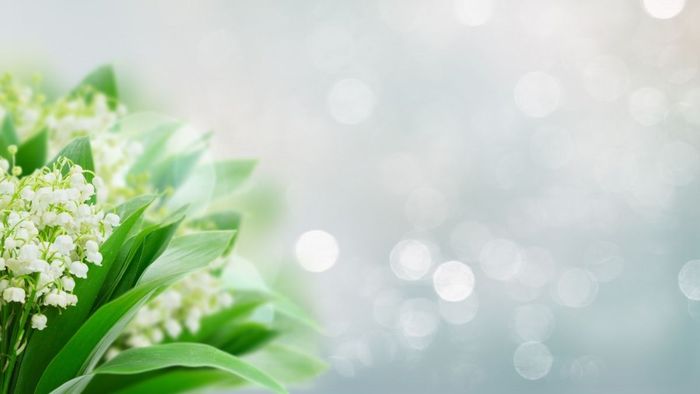 Hình ảnh hoa đẹp sắc nét 4k tuyệt vời