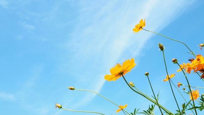 Tải về những hình ảnh bầu trời sắc nét, đẹp tuyệt vời