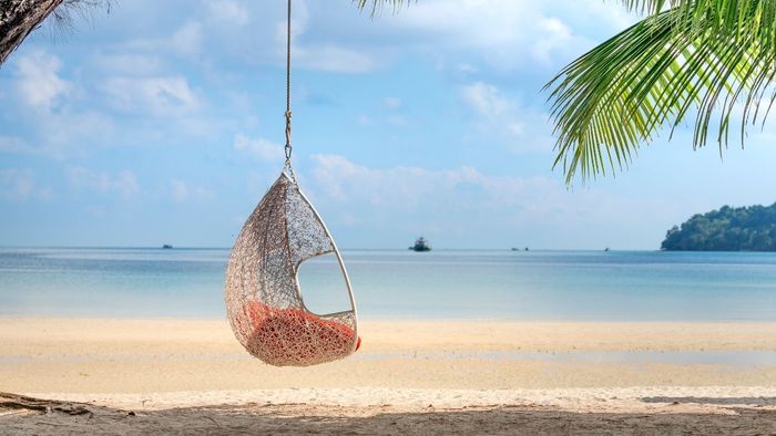 Hình ảnh chill ngắm thiên nhiên, đắm chìm trong vẻ đẹp thiên nhiên