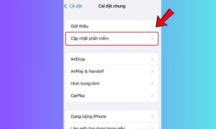 Trong mục Cài đặt chung, chọn Cập nhật phần mềm.