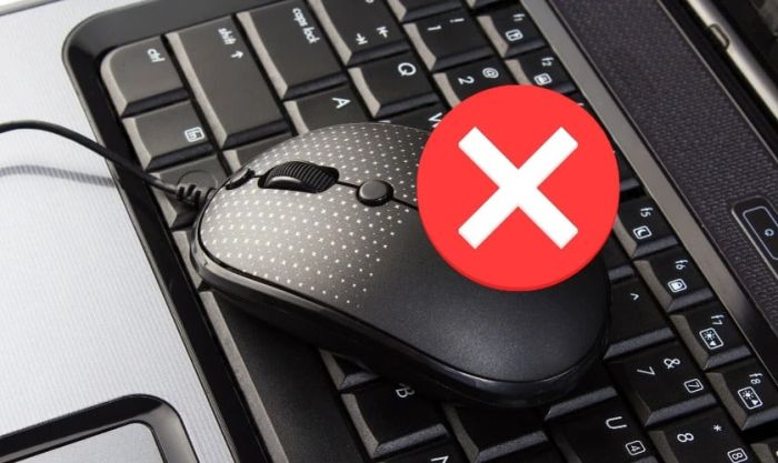 Nguyên nhân chuột có dây không hiện trên màn hình laptop