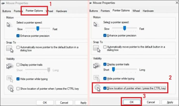 Chọn mục Show location of pointer when I press the CTRL key