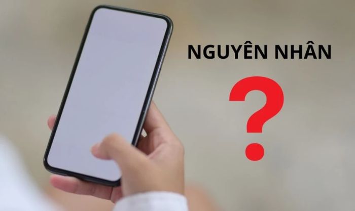 Triệu chứng khi Samsung Note 9 gặp lỗi màn hình