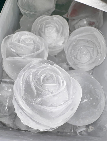 Various floral-shaped ice sculptures neatly arranged in a freezer