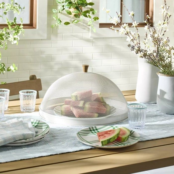 A dining table elegantly set with plates, glasses, and a watermelon dish, all covered by a mesh food dome, surrounded by vibrant plants in a sunny room.