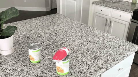 Gif of the electric can opener autonomously opening a can