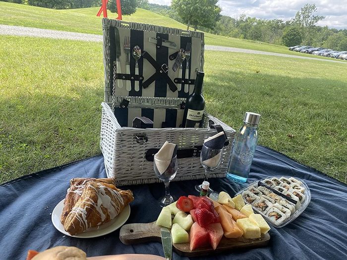 A reviewer’s picnic basket neatly arranged on the grass in a park setting.