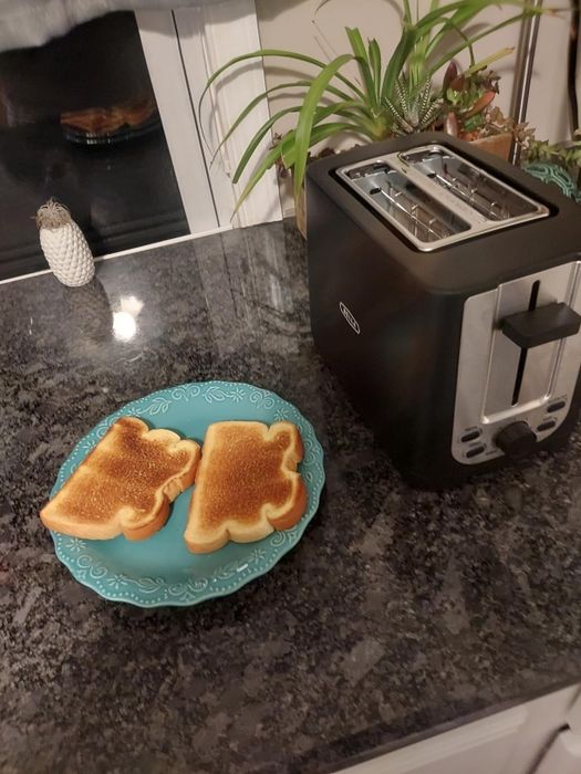 Two slices of toast placed beside a toaster