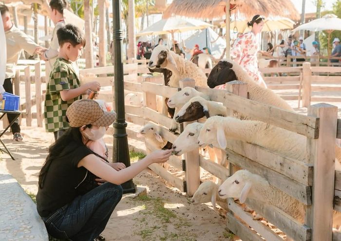 Hanna Beach Mũi Né là một thiên đường nhiệt đới đẹp tuyệt vời bên bờ biển Phan Thiết, đem đến một không gian thư giãn hoàn hảo cho du khách.