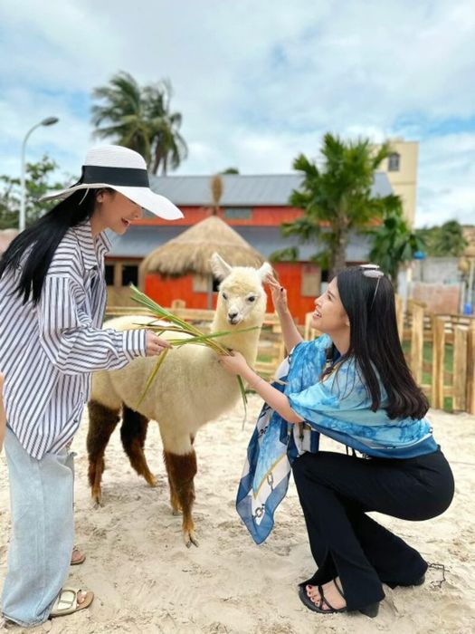 Hanna Beach Mũi Né, một thiên đường nhiệt đới bên bờ biển Phan Thiết, nơi bạn có thể thư giãn và tận hưởng sự yên bình của thiên nhiên.