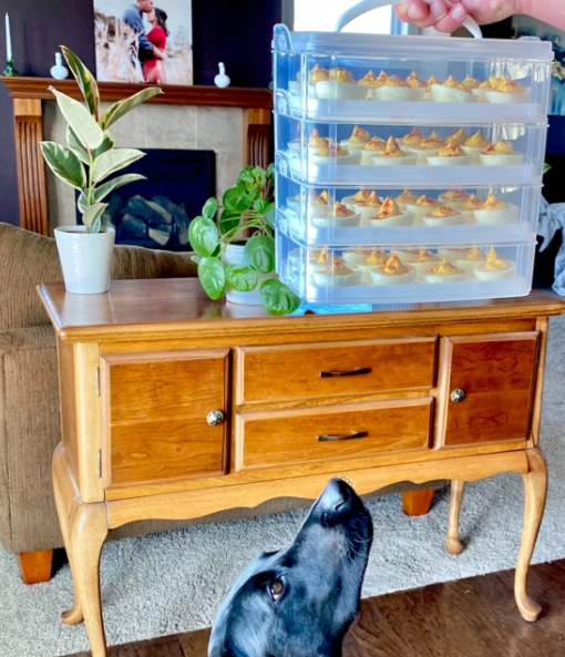 A reviewer proudly holding up a tray of deviled eggs stacked above their dog