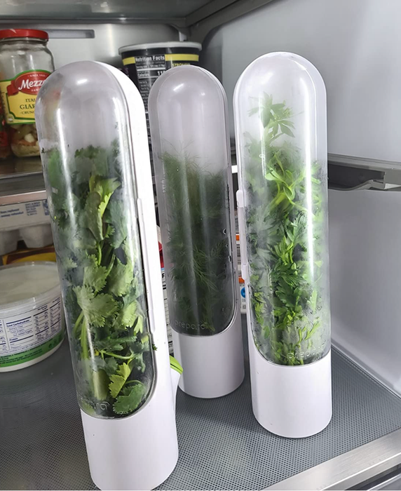 Three white cylindrical containers filled with herbs, neatly placed in a fridge.