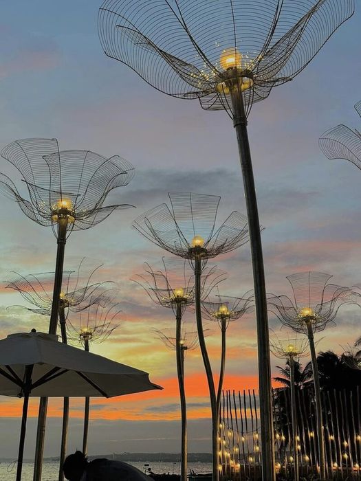 Hanna Beach Mũi Né, thiên đường nhiệt đới bên bờ biển Phan Thiết, nơi bạn có thể tìm thấy sự thư thái và bình yên.