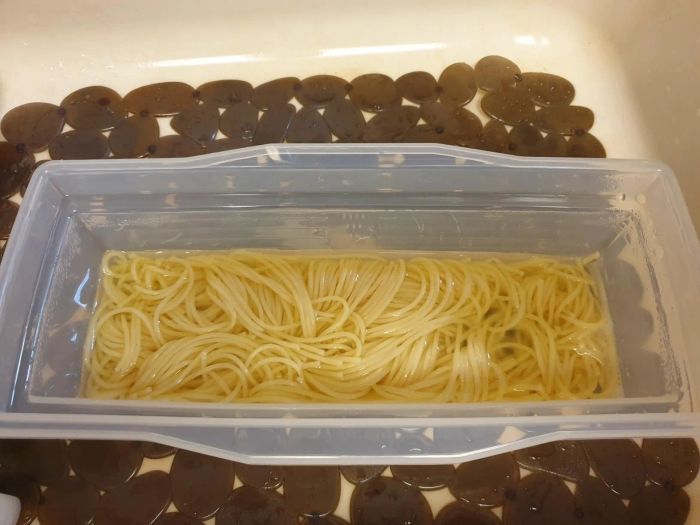 Spaghetti cooked in the microwave, resting in a plastic container with water after being heated.