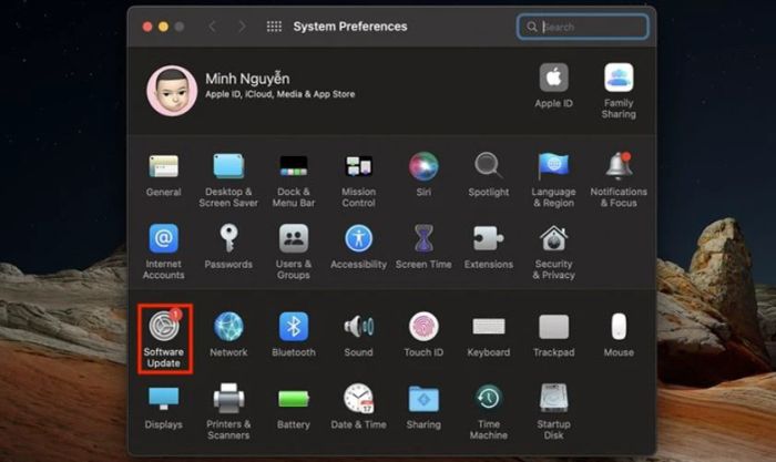 Chọn Software Update để kiểm tra và cài đặt phiên bản macOS mới nhất.