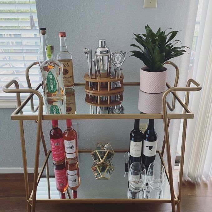 A chic bar cart adorned with liquor bottles, glasses, and a plant, all elegantly arranged for hosting guests at home