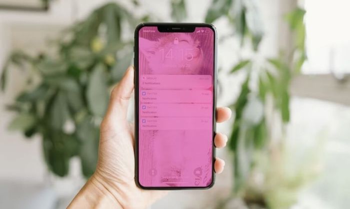 Tại sao màn hình iPhone lại bị lỗi màu?