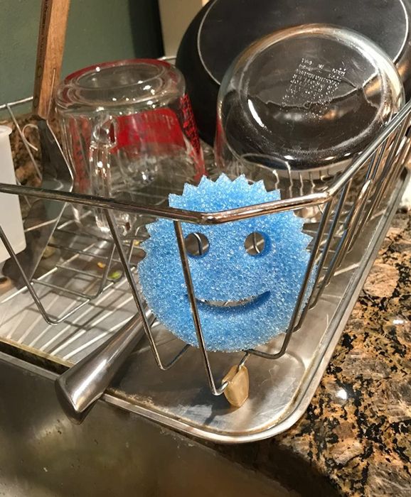 A reviewer's blue sponge drying on a drying rack.