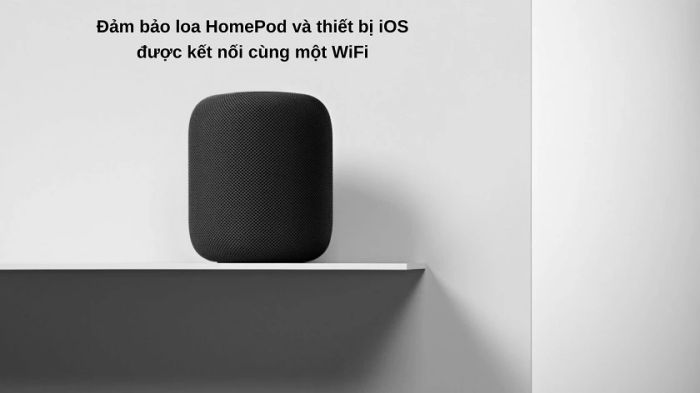 lỗi homepod