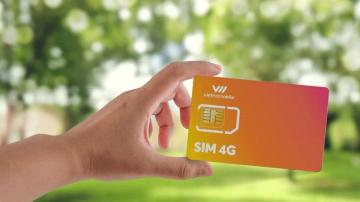 Đầu số 052 thuộc mạng nào? Những điều cần lưu ý khi mua SIM đầu số 052.