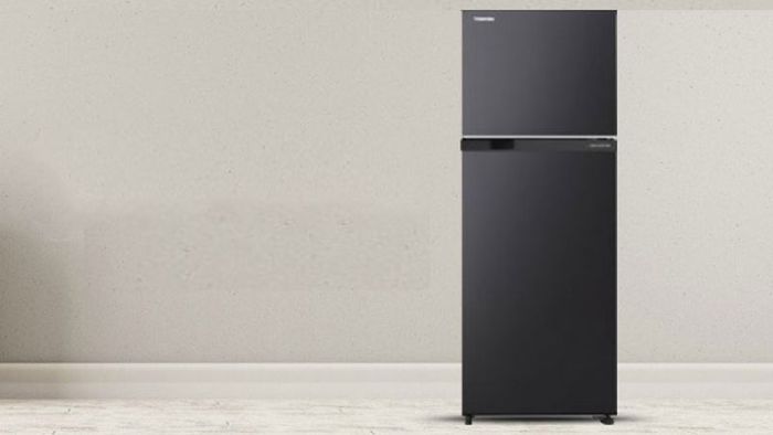 tu-lanh-toshiba-180l-3