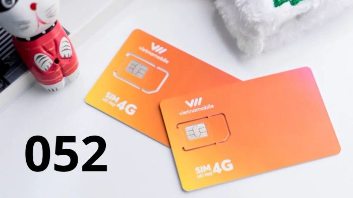 Đầu số 052 thuộc mạng nào? Và 052 thay đổi từ đầu số nào?