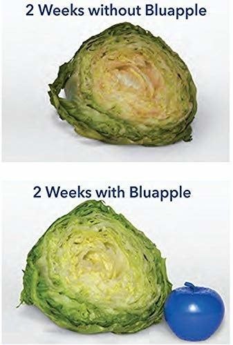 A head of lettuce without the Bluapple, looking brown and spoiled, compared to another head of lettuce with the Bluapple, looking crisp and fresh