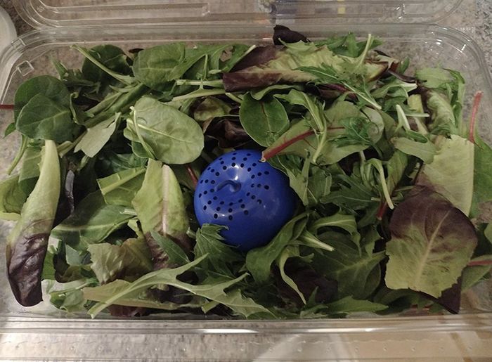Reviewer photo showing one of the BluApple freshness savers in a box of lettuce