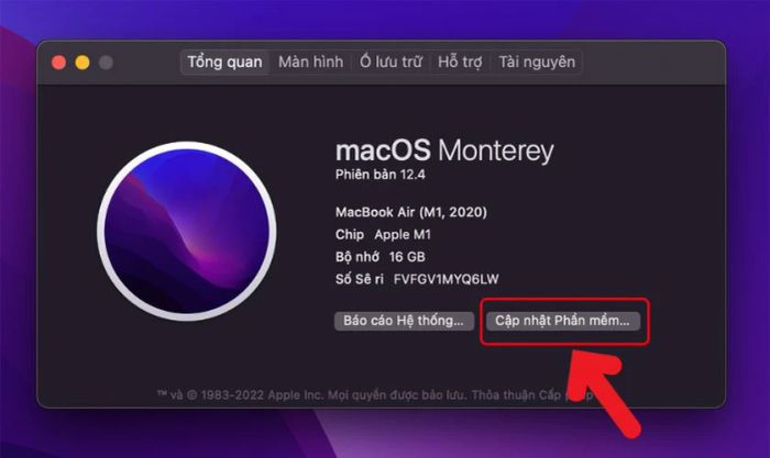 Cách khắc phục lỗi Safari trên MacBook bị treo