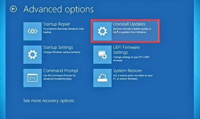 Sau khi máy tính khởi động lại, hãy chuyển đến mục Advanced Options và chọn Uninstall Updates