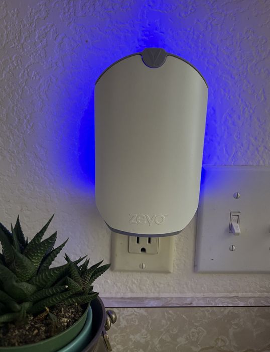 A bug trap plugged into the wall