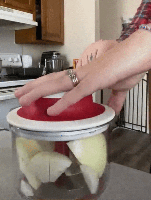 reviewer chopping onions with a VeggiChop