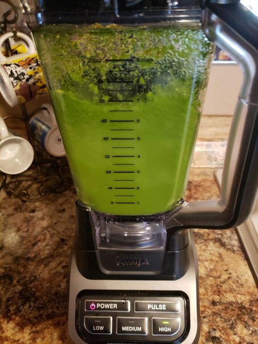 same reviewer showcasing a perfectly blended green smoothie in the blender