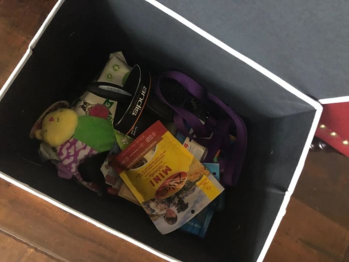 A top-down shot of the box, packed with treat bags and various toys.