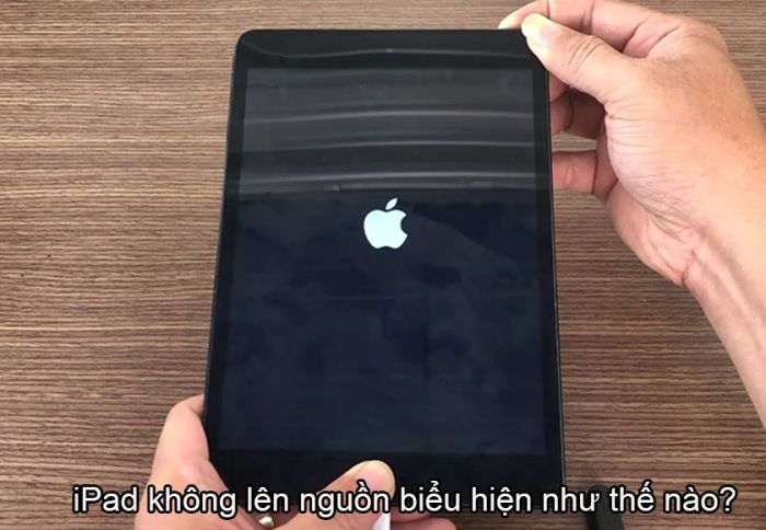iPad không khởi động, sập nguồn, không lên nguồn, không sạc được: Biểu hiện và nguyên nhân là gì?